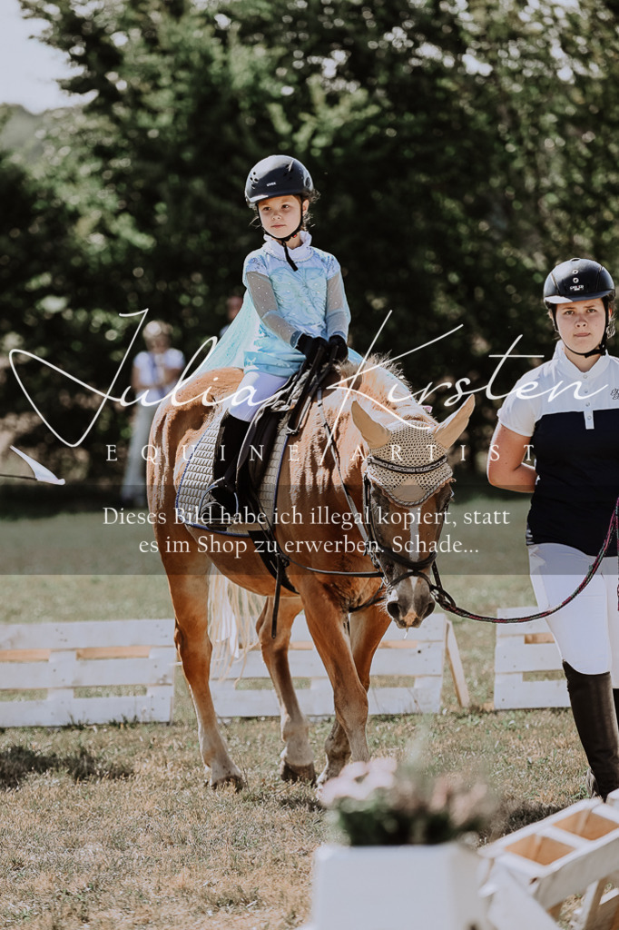 DSC_8965 | Pferde- und Turnierfotografie in Westsachsen. Pferdeportraits, Auftragszeichnungen und intuitive Kunst.