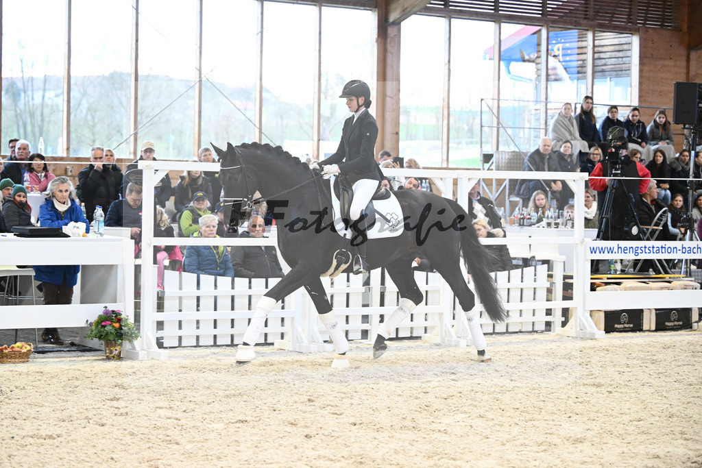 Haffruf_7240767 | hf-fotografie - Realisiert mit Pictrs.com