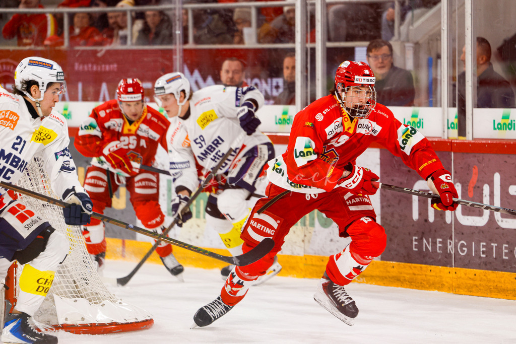 EHCB vs HCAP 20260115_wb-4398 | Sportbilder, Sportfotograf, Hochzeits- und Eventfotografin, Flugshows, Portraits und Tiershooting, Aviation, Downhill, Nationalleague, Swissleague, International