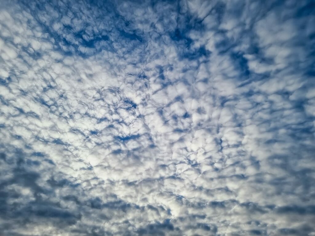 PSX_20221220_232121 | mtkfoto_ - Realisiert mit Pictrs.com