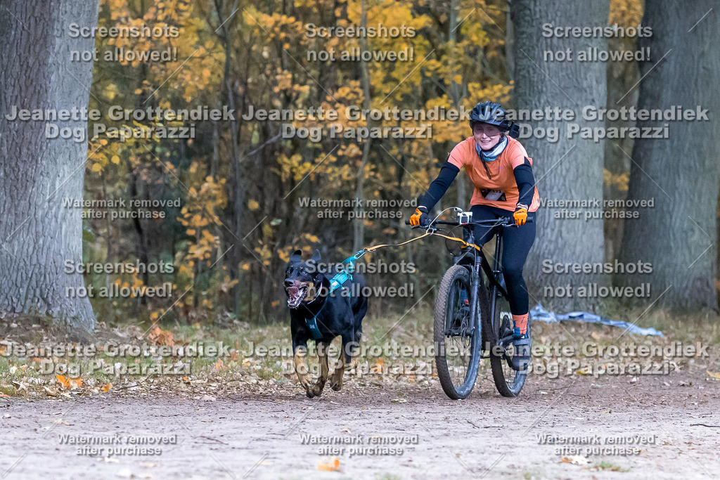 Dog Paparazzi - SD CaniX Championship 2025-234 | Dog Paparazzi Jeanette Grottendiek Fotografie & Videografie - Realisiert mit Pictrs.com