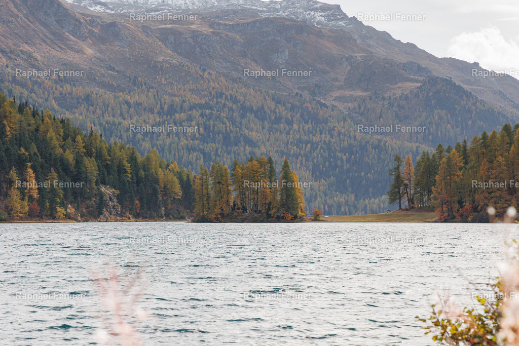 IMG_9508 | Erlebe eindrucksvolle Landschaftsfotografie aus dem Engadin und darüber hinaus. Raphael Fenner bietet zudem professionelle Fotoaufträge für Hochzeiten, Porträts und Unternehmen. Jetzt entdecken und inspirieren lassen!