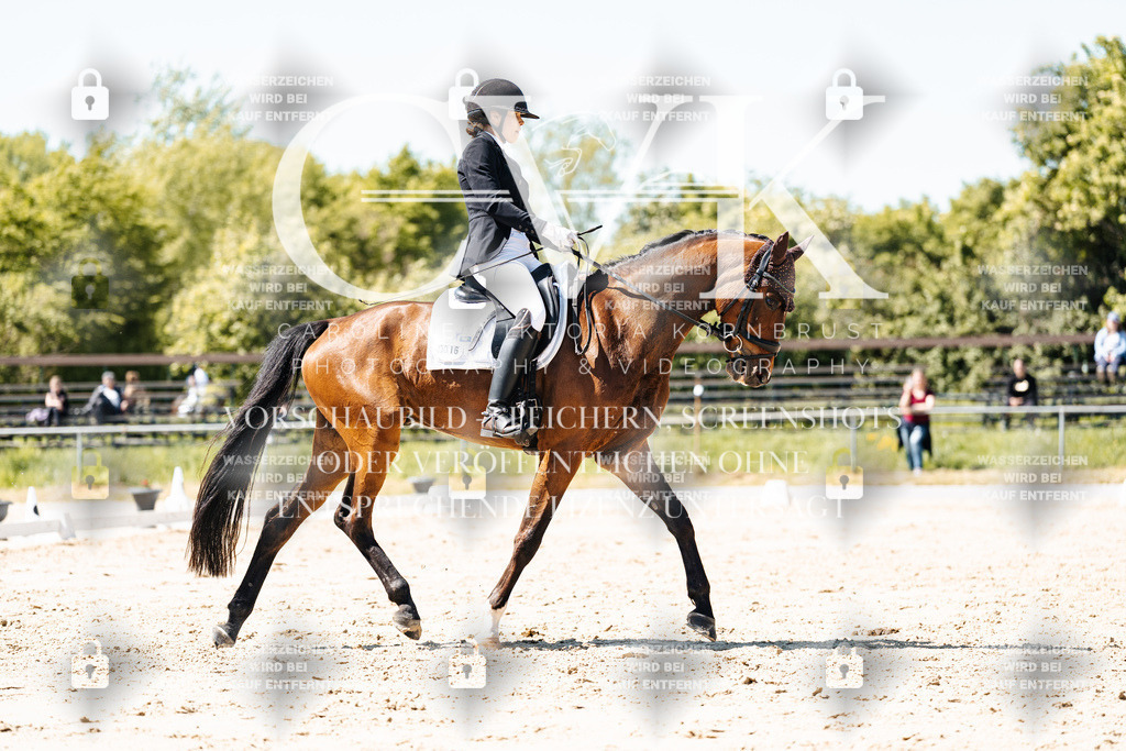 CK905772 | Turnierfotografie Pferdefotografie Trier Rheinland-Pfalz Pferdesport Reitsport Tierfotografie Sportfotografie Pferdevideo Pferdevideografie Equestrianvideography equestrianphotography  - Realisiert mit Pictrs.com