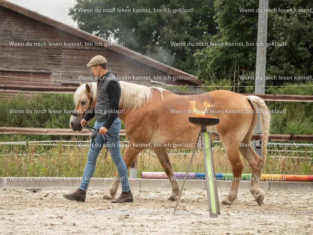 598A6481 | photographylinaismer - Realisiert mit Pictrs.com