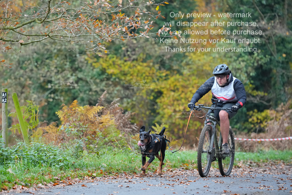 Bike_So-207 | stephaniefillaphotographie - Realisiert mit Pictrs.com