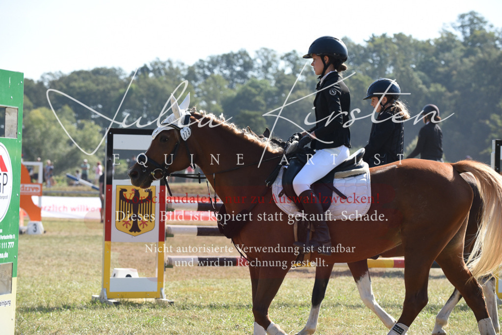 DSC_6130 | Pferde- und Turnierfotografie in Westsachsen. Pferdeportraits, Auftragszeichnungen und intuitive Kunst.