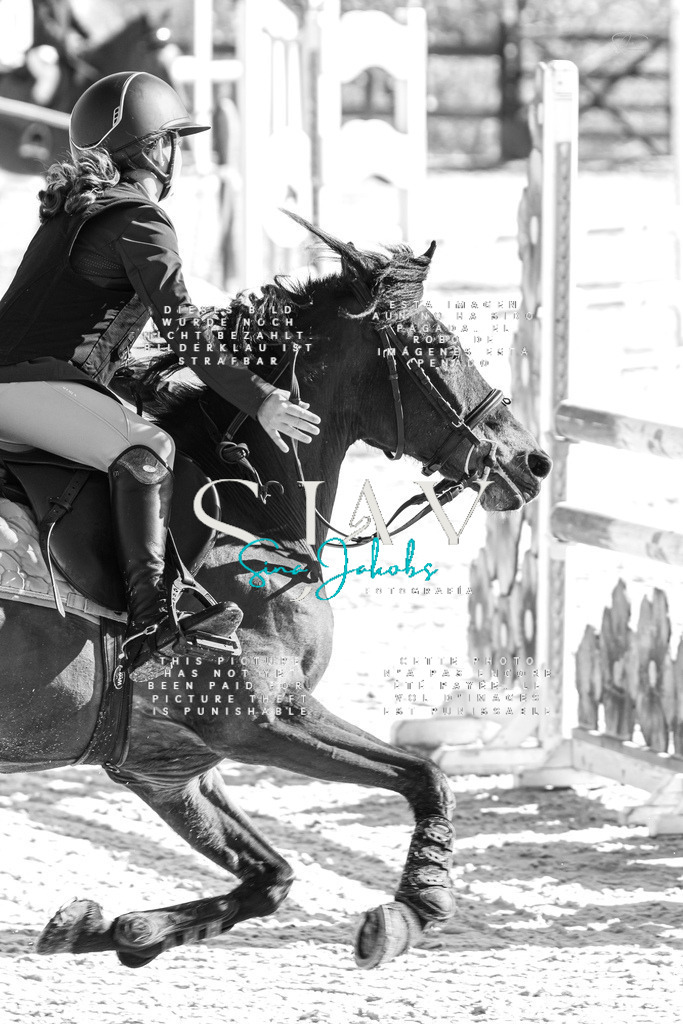 IMG_3590 | s-jay-photography - Realisiert mit Pictrs.com