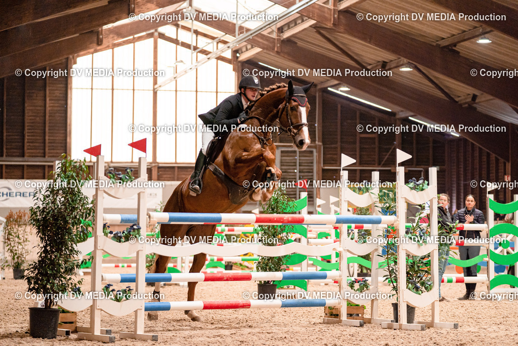 Springen Tag 3-394 | dv-media-shop - Realisiert mit Pictrs.com