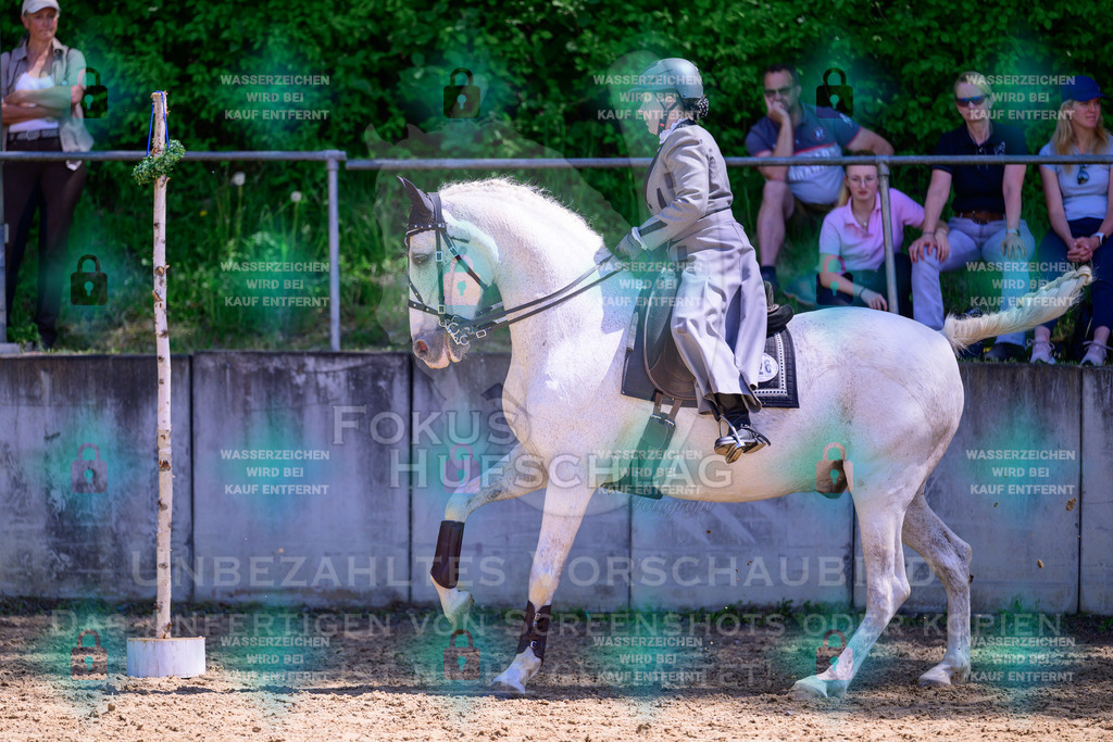 03052026-Giesenbach-04-Stiltrail-0427 | Fokus Hufschlag Fotografie - Realisiert mit Pictrs.com