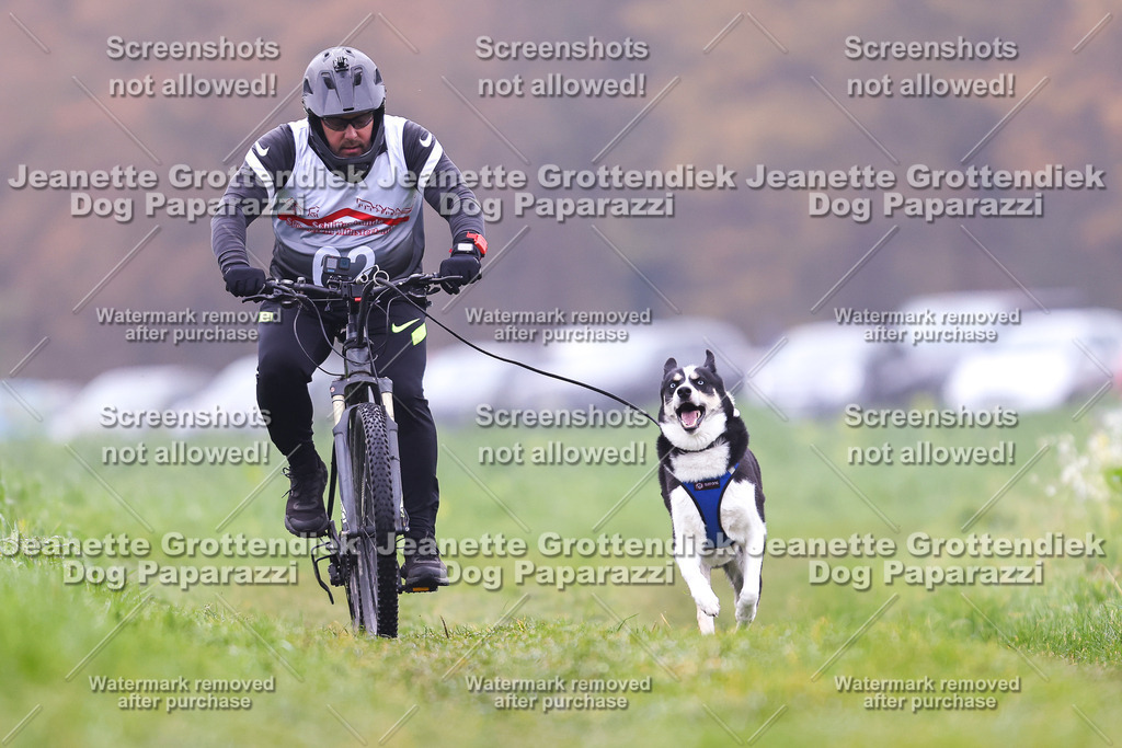 Dog Paparazzi - Visbeck 25 -238 | Dog Paparazzi Jeanette Grottendiek Fotografie & Videografie - Realisiert mit Pictrs.com