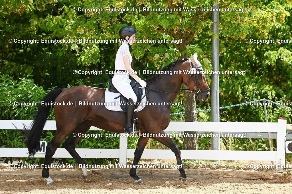 20230715_09_Dressur-WB_0248 | equistock