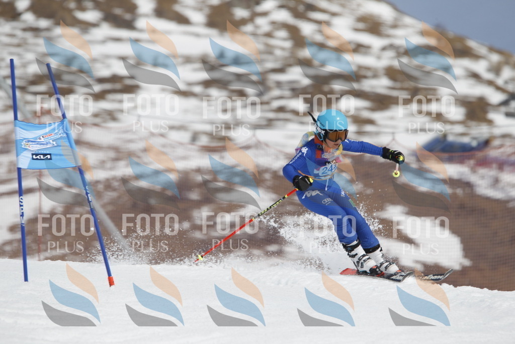 _U3G2756 | holidayphoto