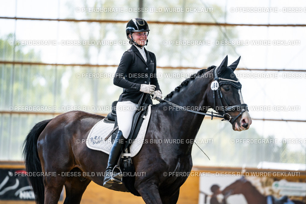 DSC06002 | Pferdegrafie