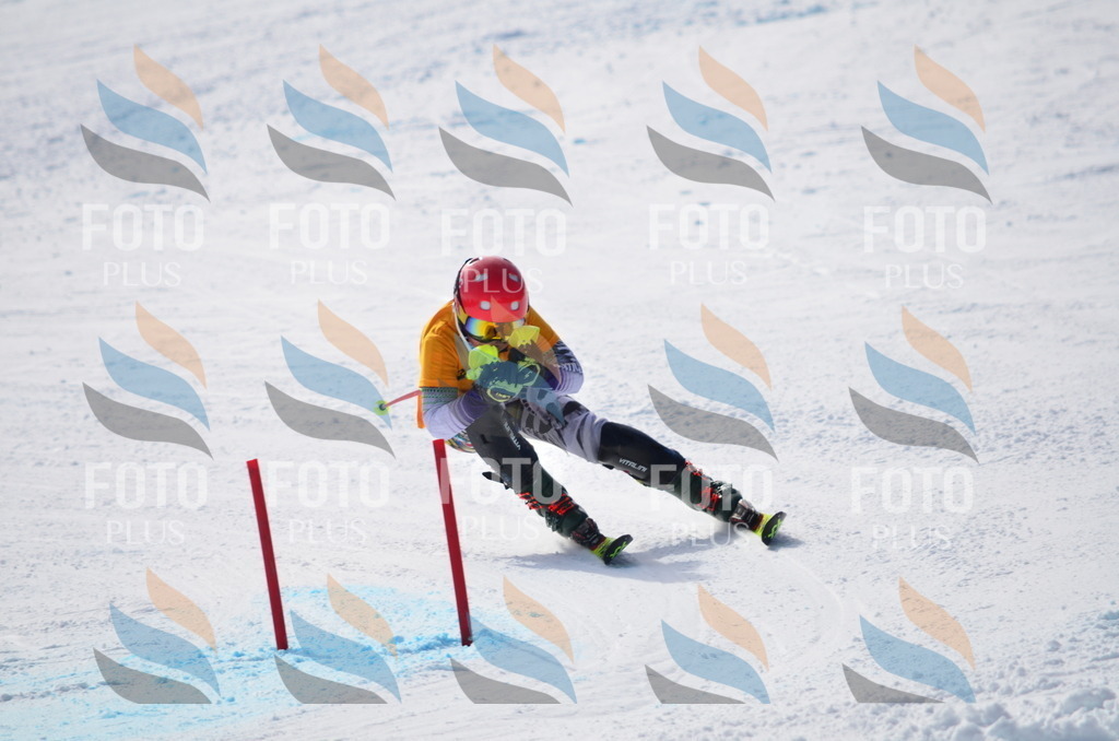 C9894 | holidayphoto