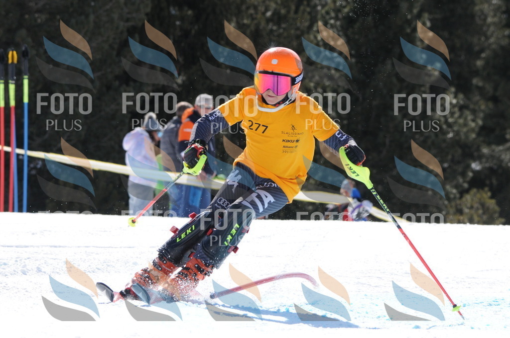 C9005 | holidayphoto