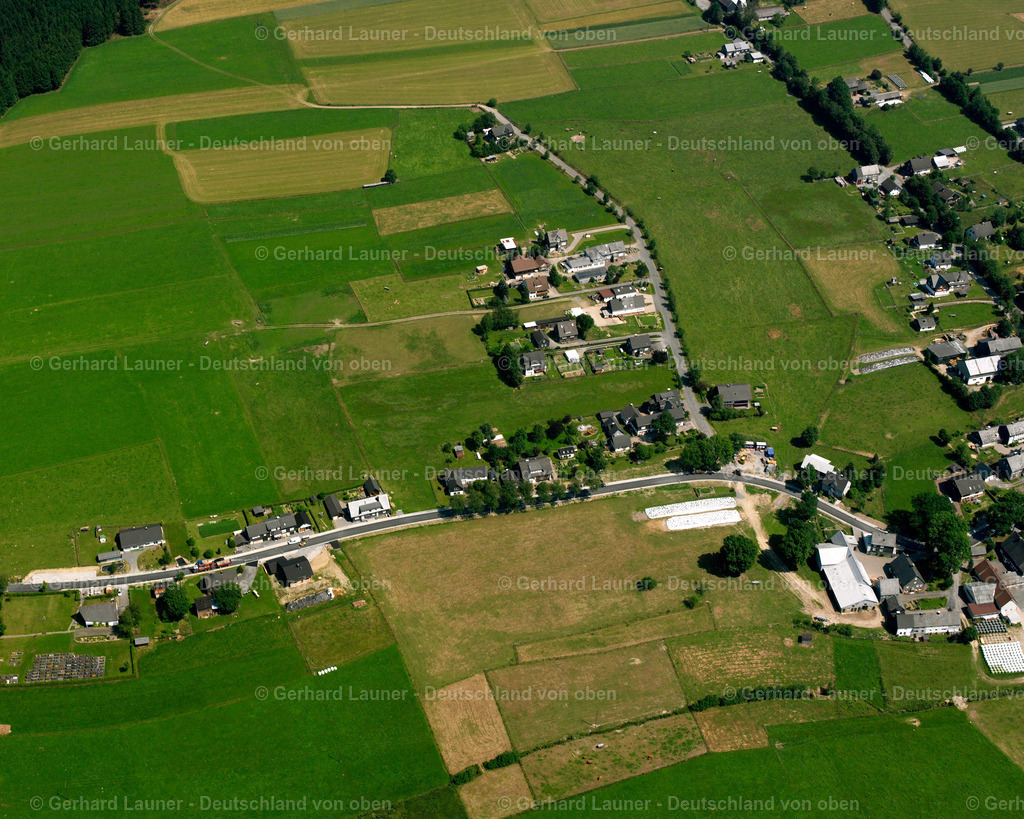 2528109 | Birkefehl, Erndtebrück