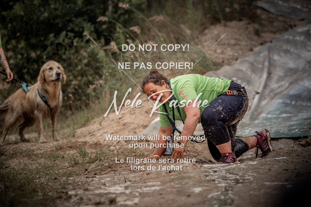 nelerasche_sa1100-1200_195 | nelerasche