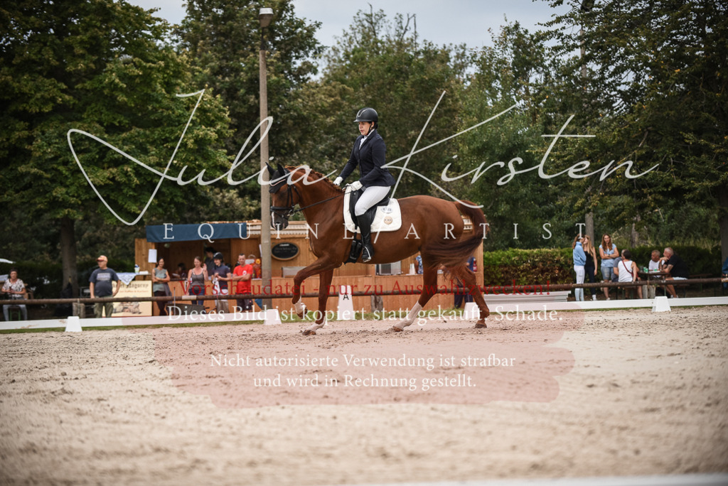 DSC_8380 | Pferde- und Turnierfotografie in Westsachsen. Pferdeportraits, Auftragszeichnungen und intuitive Kunst.