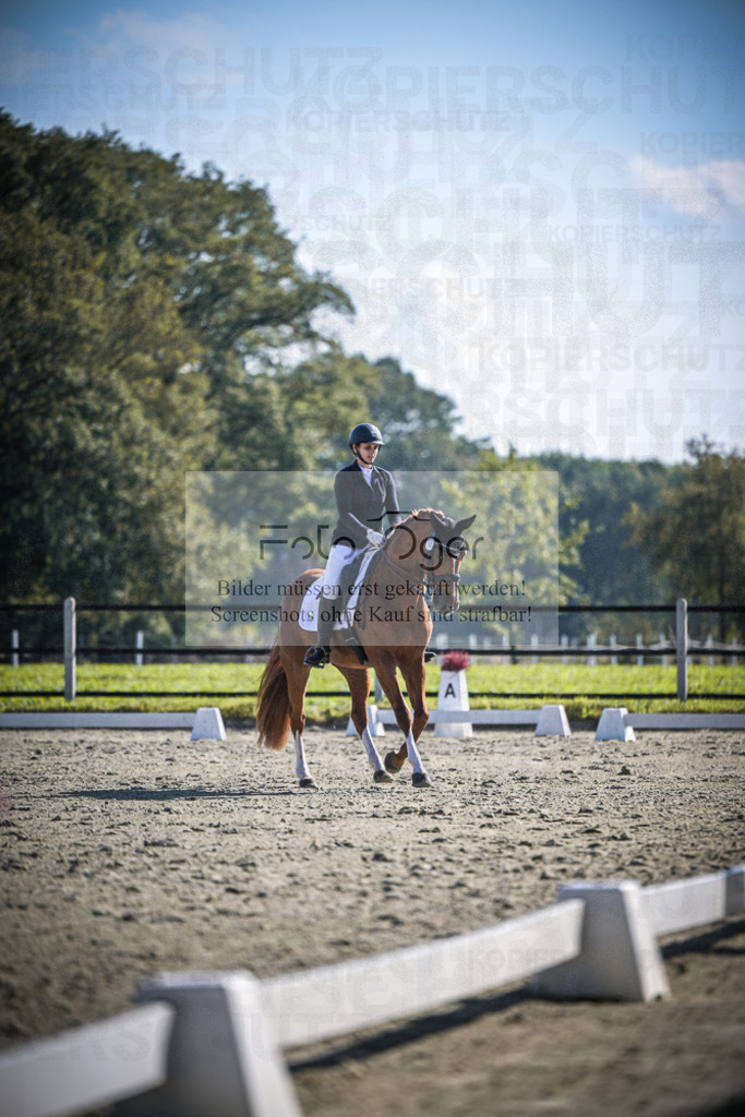 DOS_2822 | Entdecke hochwertige Reitturnierfotos von Foto Oger. Professionell, emotional und authentisch – jetzt Lieblingsmomente im Shop bestellen.Deutschlandweite Turnierfotografie. - Realisiert mit Pictrs.com