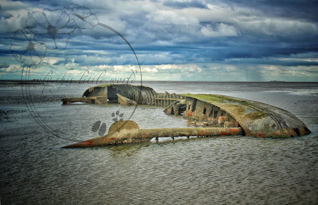 IMG_6472-01 1.0 | only.this.little.world - Realisiert mit Pictrs.com