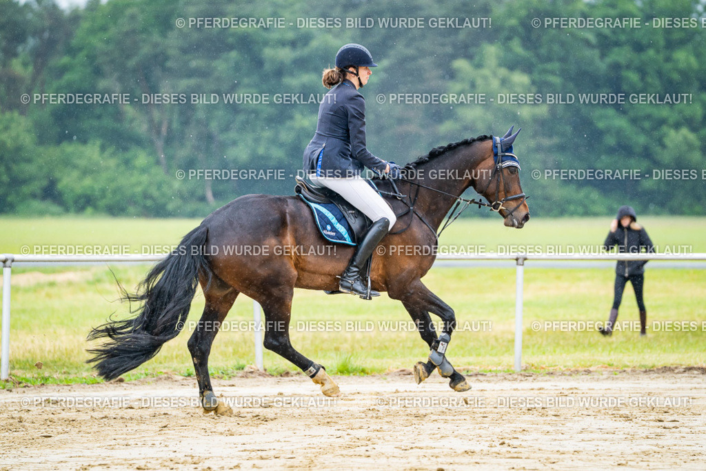 DSC02491 | Pferdegrafie