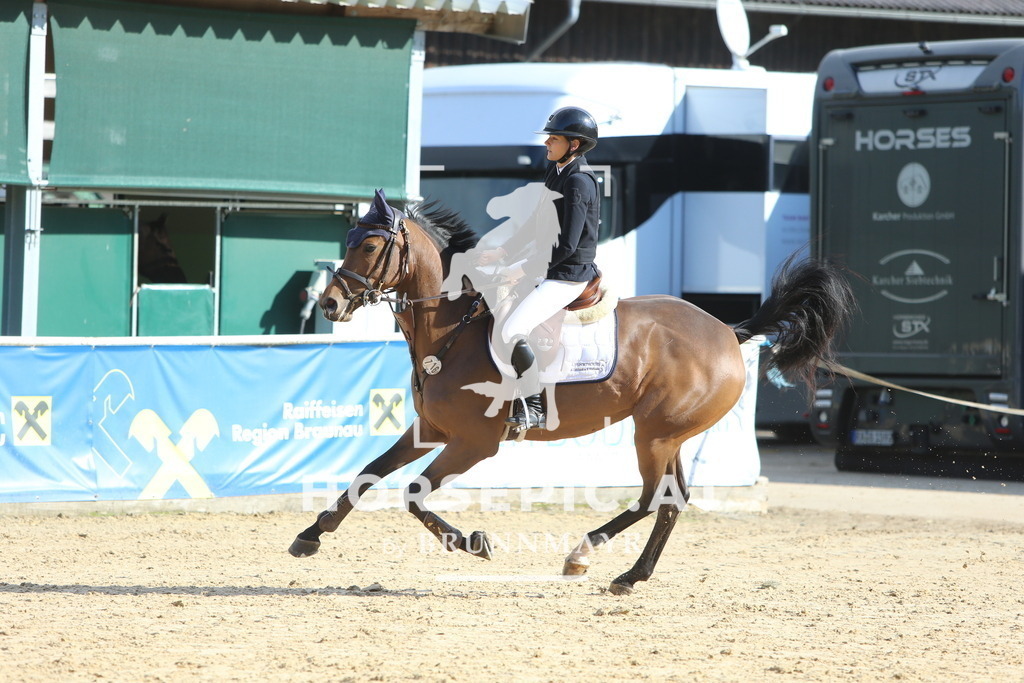 DL2Q4704 | Willkommen bei Brunnmayr - Design & Fotografie – Ihrem Spezialisten für Reitturniere und Pferdeveranstaltungen in Oberösterreich, Salzburg und Bayern! Seit über 17 Jahren sind wir leidenschaftlich dabei.
