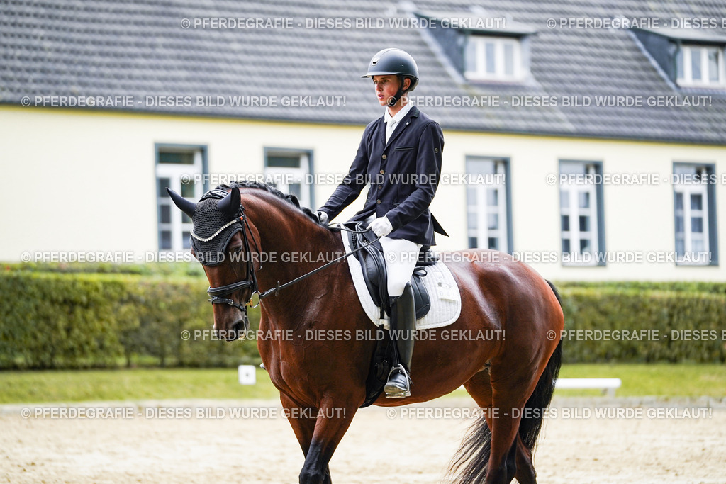 DSC08387 | Pferdegrafie