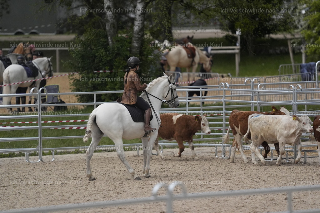 PI26_COW_Stoibphotography_DSC6533.JPG | working equitationturnier fotograf videograf stoibphotography marixx film working equitation deutschland reitsport turnierfotografie eventfotografie equestrian events