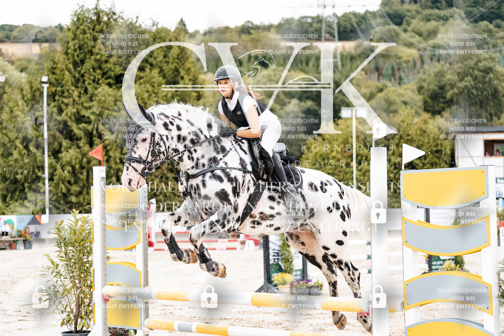 CK908250 | Turnierfotografie Pferdefotografie Trier Rheinland-Pfalz Pferdesport Reitsport Tierfotografie Sportfotografie Pferdevideo Pferdevideografie Equestrianvideography equestrianphotography  - Realisiert mit Pictrs.com
