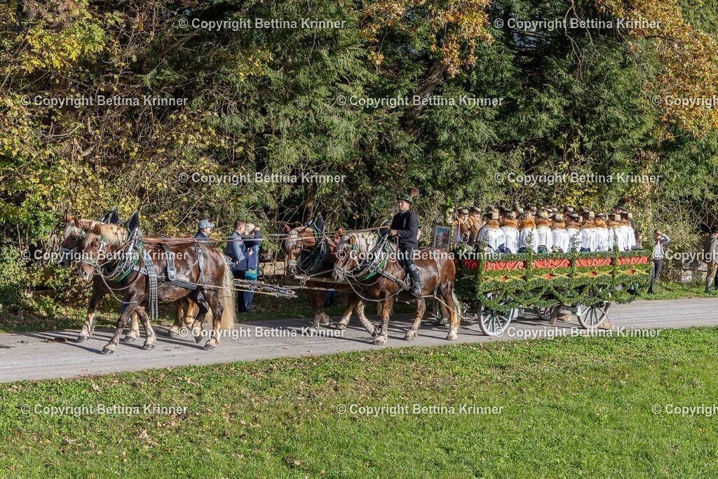 LBT24-320 | foto-bettina-krinner - Realisiert mit Pictrs.com