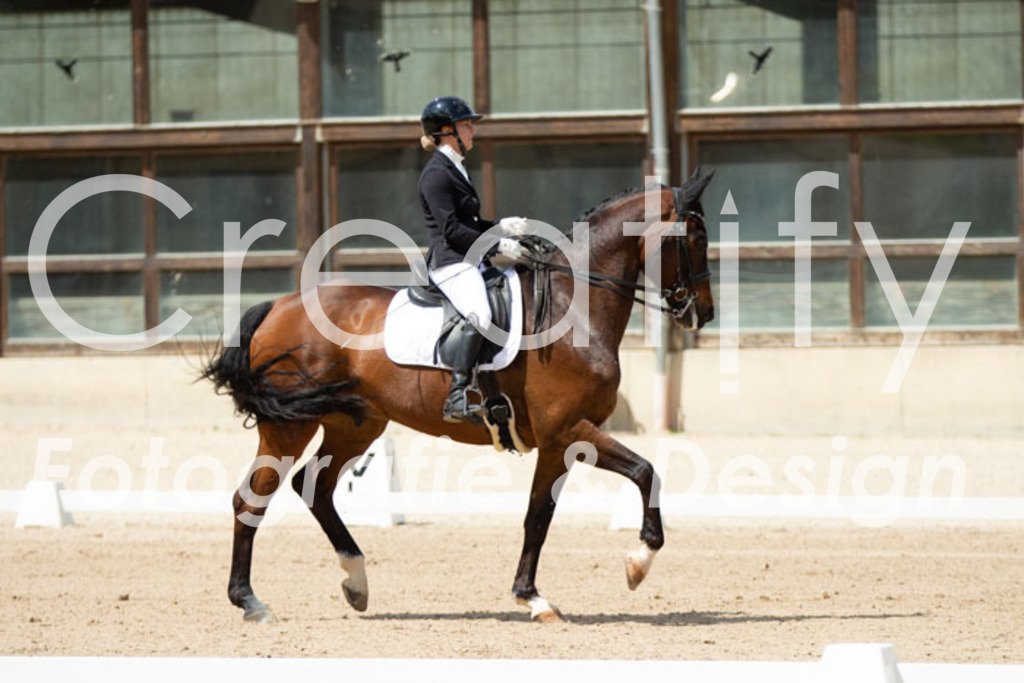 IMG_5775 | Creatify Fotografie