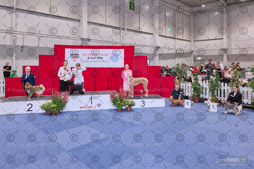 202406_ÖKV-IHA-Tulln24_NZ9_8573 | proPHOTO - Realisiert mit Pictrs.com