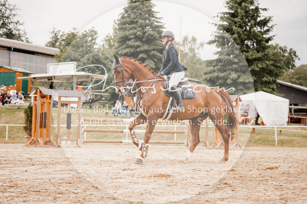 3I6A2465 | Stimmungsvolle Portraits und Reitsportfotografie im Ruhrgebiet und im Münsterland.

Pferdefotografie, Hundefotografie, Tierfotografie, Reportagen, Portraits von Tier und Mensch, Turnierfotografie in Bochum, Recklinghausen, Marl, Haltern am See, Dülmen.. - Realisiert mit Pictrs.com