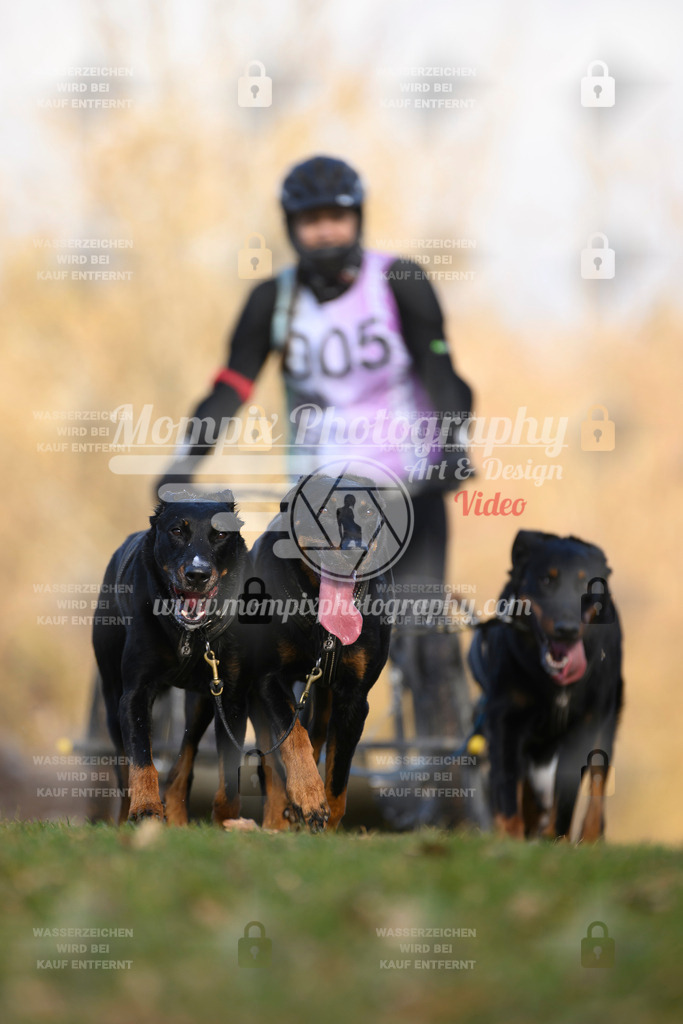 MompixPhotography_10Schwabentrail2026_SO_Kart-16 | PayLife