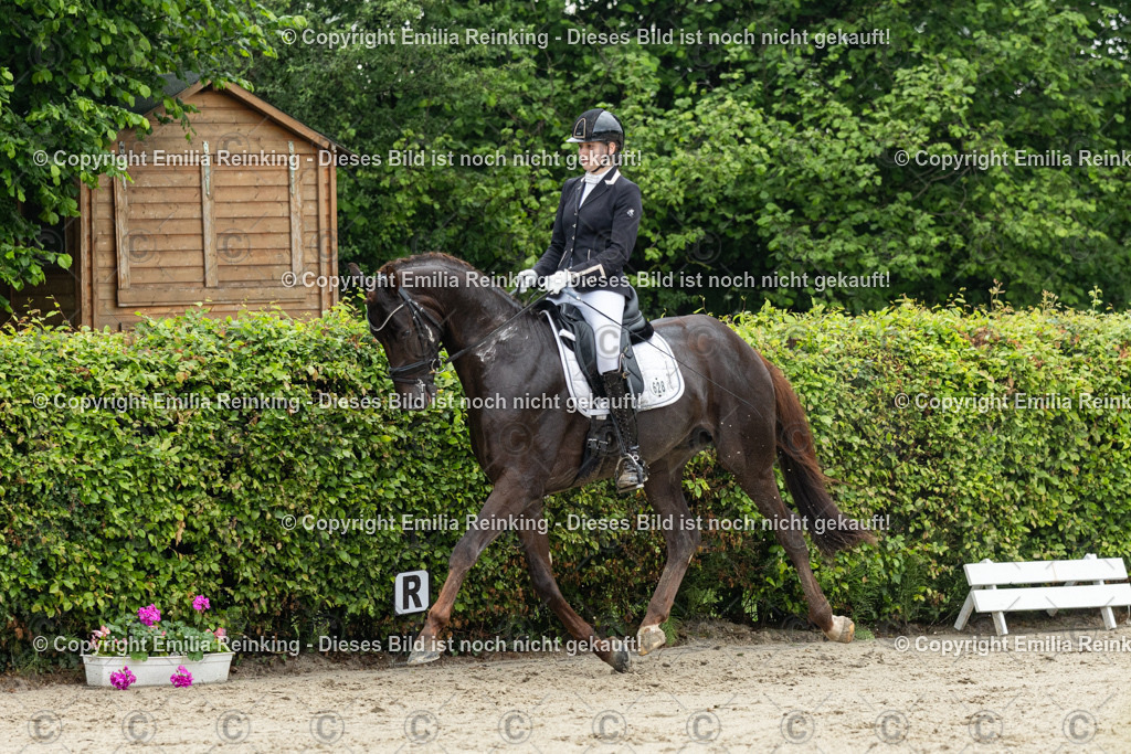 CL5A2921 | Emilia Reinking Fotografie - Realisiert mit Pictrs.com