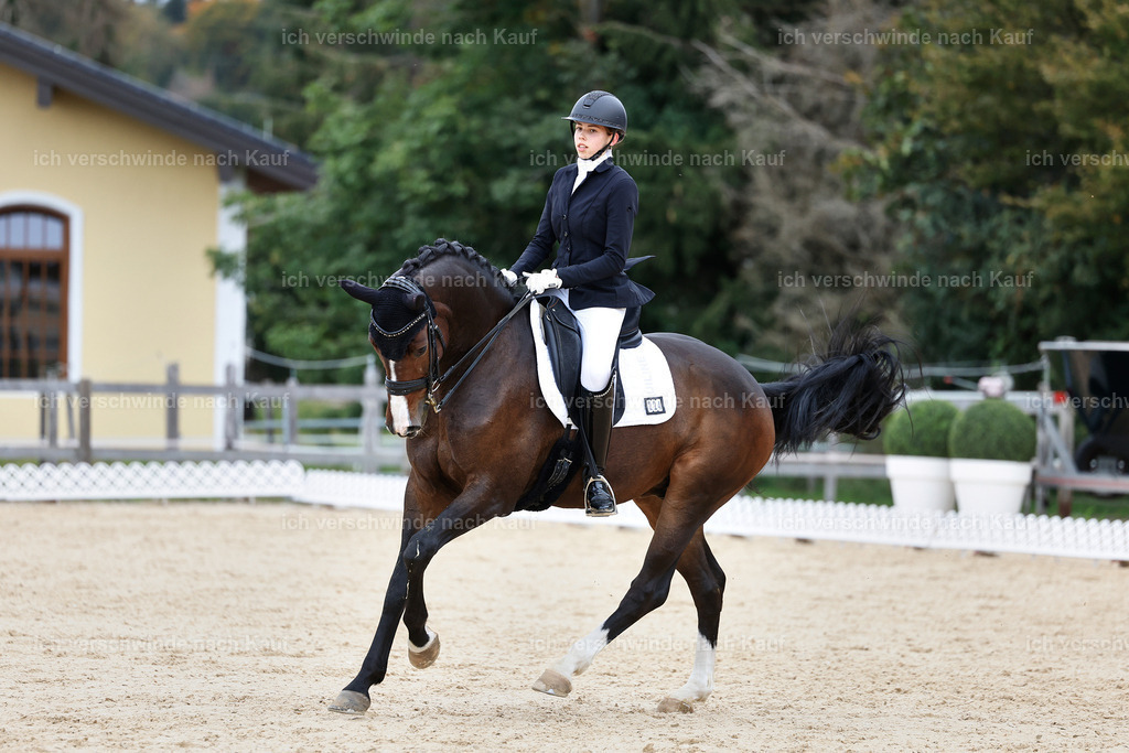 3-224-Dressur M_-StoibPH-2529 | working equitationturnier fotograf videograf stoibphotography marixx film working equitation deutschland reitsport turnierfotografie eventfotografie equestrian events
