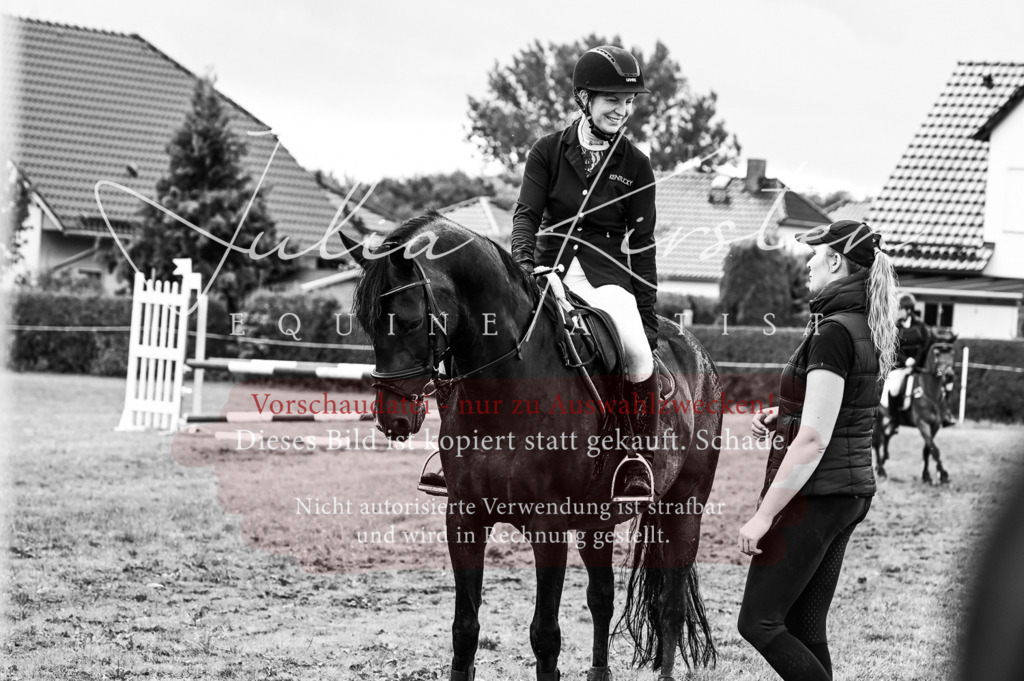 DSC_6344 | Pferde- und Turnierfotografie in Westsachsen. Pferdeportraits, Auftragszeichnungen und intuitive Kunst.