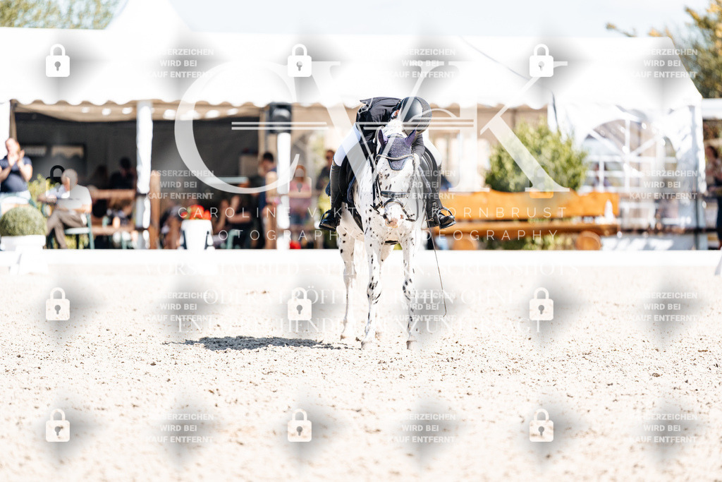CK904196 | Turnierfotografie Pferdefotografie Trier Rheinland-Pfalz Pferdesport Reitsport Tierfotografie Sportfotografie Pferdevideo Pferdevideografie Equestrianvideography equestrianphotography  - Realisiert mit Pictrs.com