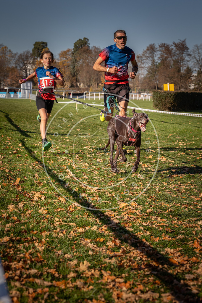 CaniXpix_0L8A6951 | Hundefotografie, Tierfotograf, Pfotenfotografie, Fotoshooting Hund, Hunde Portrait, Hundesport, Hundeportraits, Heideshooting, Hunde, Sportfotograf, Hundefotograf, Turnierhundsport, THS,  - Realisiert mit Pictrs.com