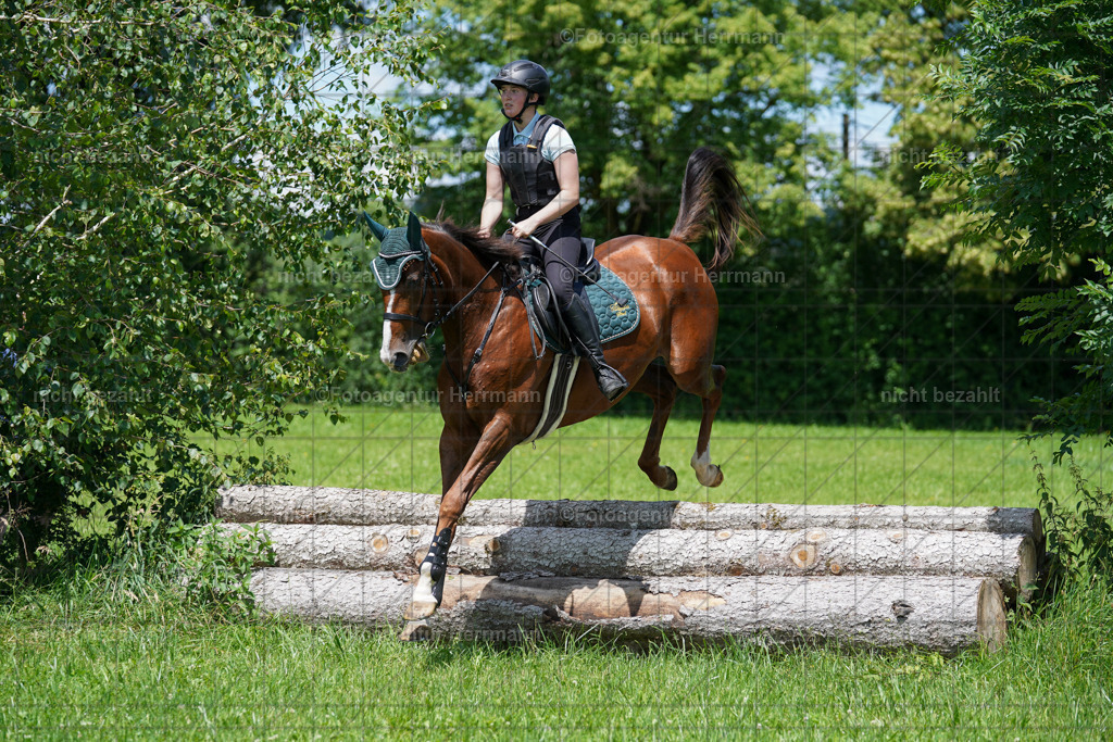 20240622-FAH06924 | Turnierfotografen Bayern, Reitsportbilder aus dem Geländekurs mit Felix Etzel auf dem Gut Waitzacker 2024