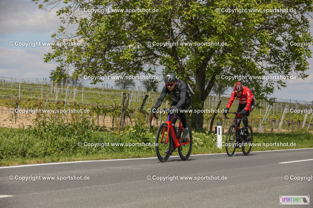 467A2283 | Neusiedlersee Radmarathon 2024                 @Neusiedlersee Radmarathon                        @Sportshotphotography                                    PhotoCredit : www.sportshot.de