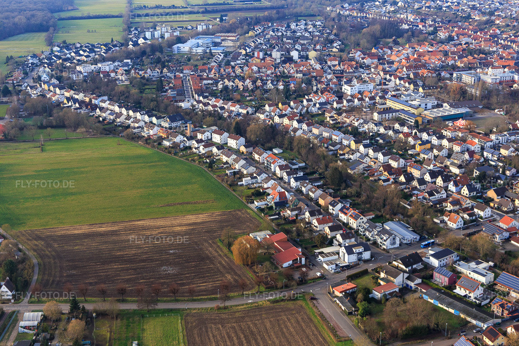 Luftbild: Kettelestr in Herxheim bei Landau im Bundesland Rheinland-Pfalz in Deutschland. Foto: IMG_145138.jpg vom 04.01.2025 durch Werner Riehm/FLY-FOTO.de