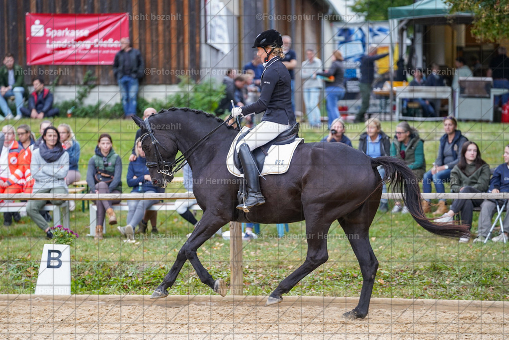 20231007-SN_00900 | Professionelle Turnier- und Reitsportfotografie - mit dem Finger am Auslöser. Pferdebilder aus dem Reitsport von den Turnierfotografen  Bayern , Pferdefotograf Bayern, Pferdeshooting Turnierbilder, Hochzeitsfotograf, Eventfotograf, Hochzeitsbilder