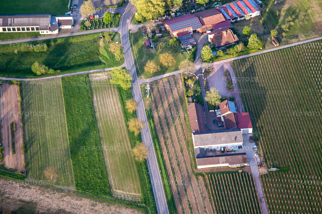 Luftbild: Knaufs Weinstube in Göcklingen im Bundesland Rheinland-Pfalz in Deutschland. Foto: IMG_140328.jpg vom 23.04.2024 durch Werner Riehm/FLY-FOTO.de