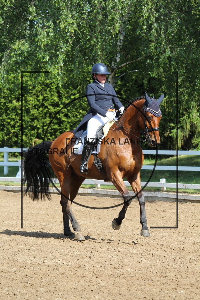 IMG_6784 | franziskalange - Realisiert mit Pictrs.com