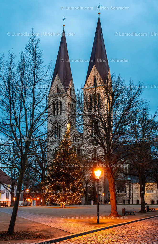 10049-13127 - Weihnachtlicher Dom in Halberstadt | Stockfoto und Bilderpool mit Bildmaterial aus Deutschland, dem Harz, Halberstadt, Quedlinburg, Wernigerode und weltweit. Qualitativ hochwertige und professionelle Fotos anschauen und kaufen. - Realisiert mit Pictrs.com
