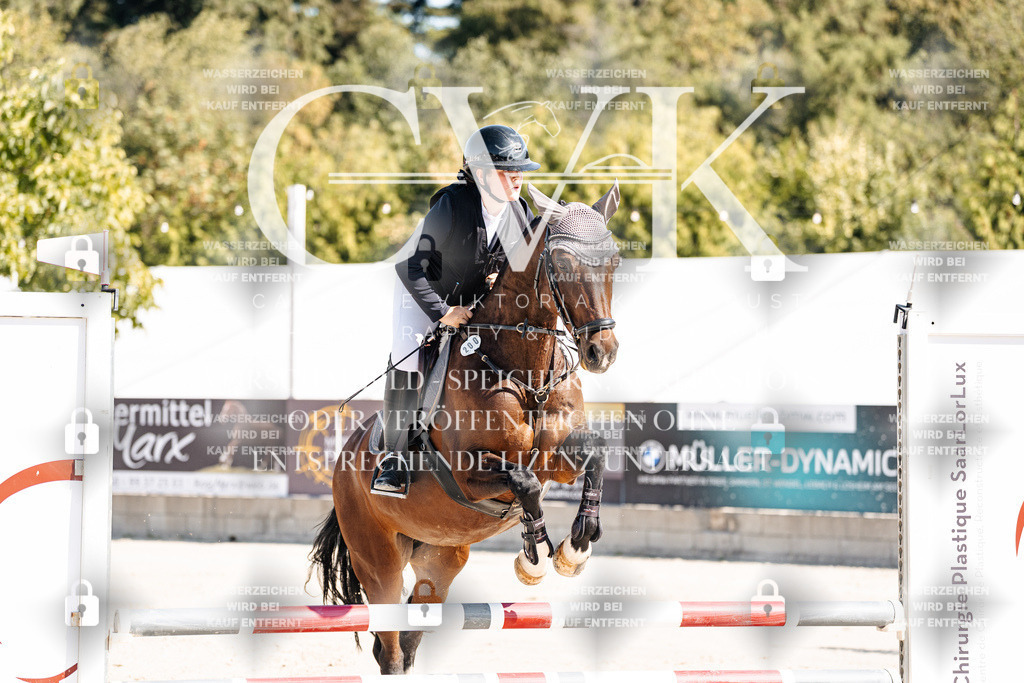 CK905238 | Turnierfotografie Pferdefotografie Trier Rheinland-Pfalz Pferdesport Reitsport Tierfotografie Sportfotografie Pferdevideo Pferdevideografie Equestrianvideography equestrianphotography  - Realisiert mit Pictrs.com