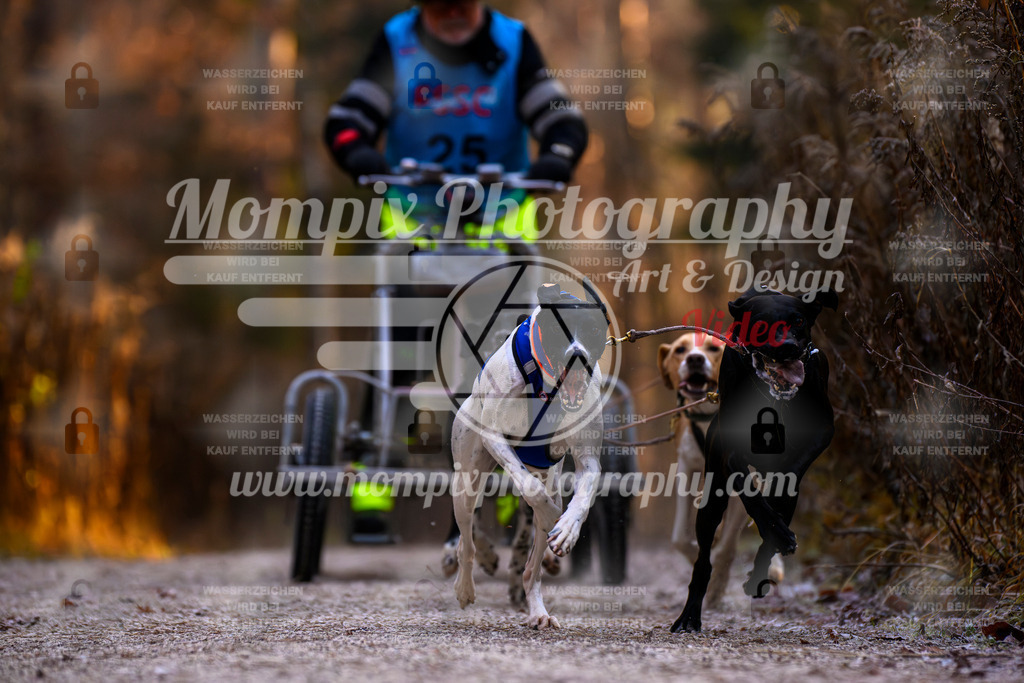 MompixPhotography_DM_AKDM_SO_2025_Wagen-50 | PayLife
