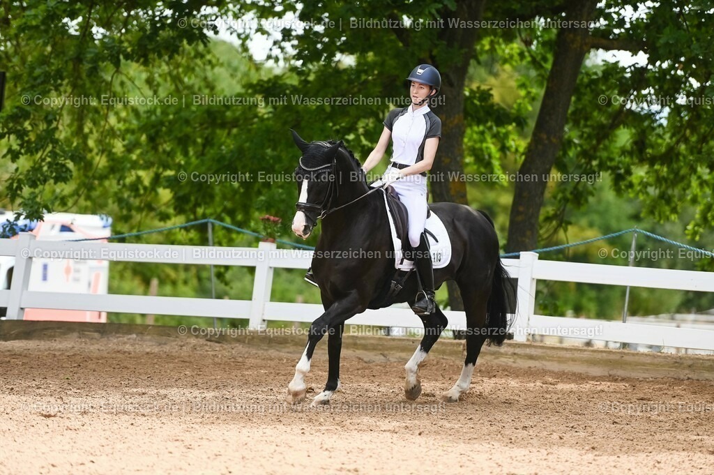 20230715_05_Dressurprüfung Kl.A++_0131 | equistock