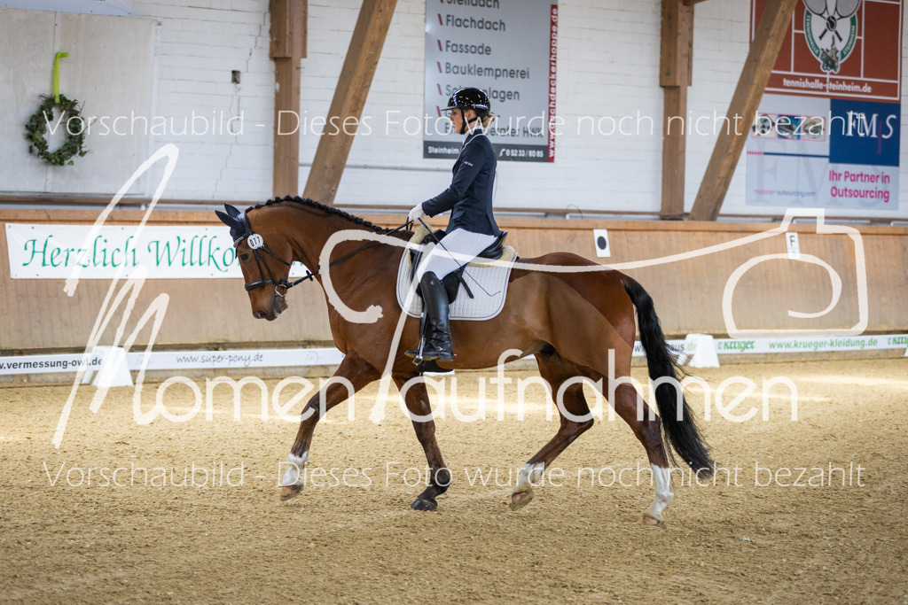 Sth-LPO25-A-Dr-053 | MomenTaufnahmen Pferdesportfotos